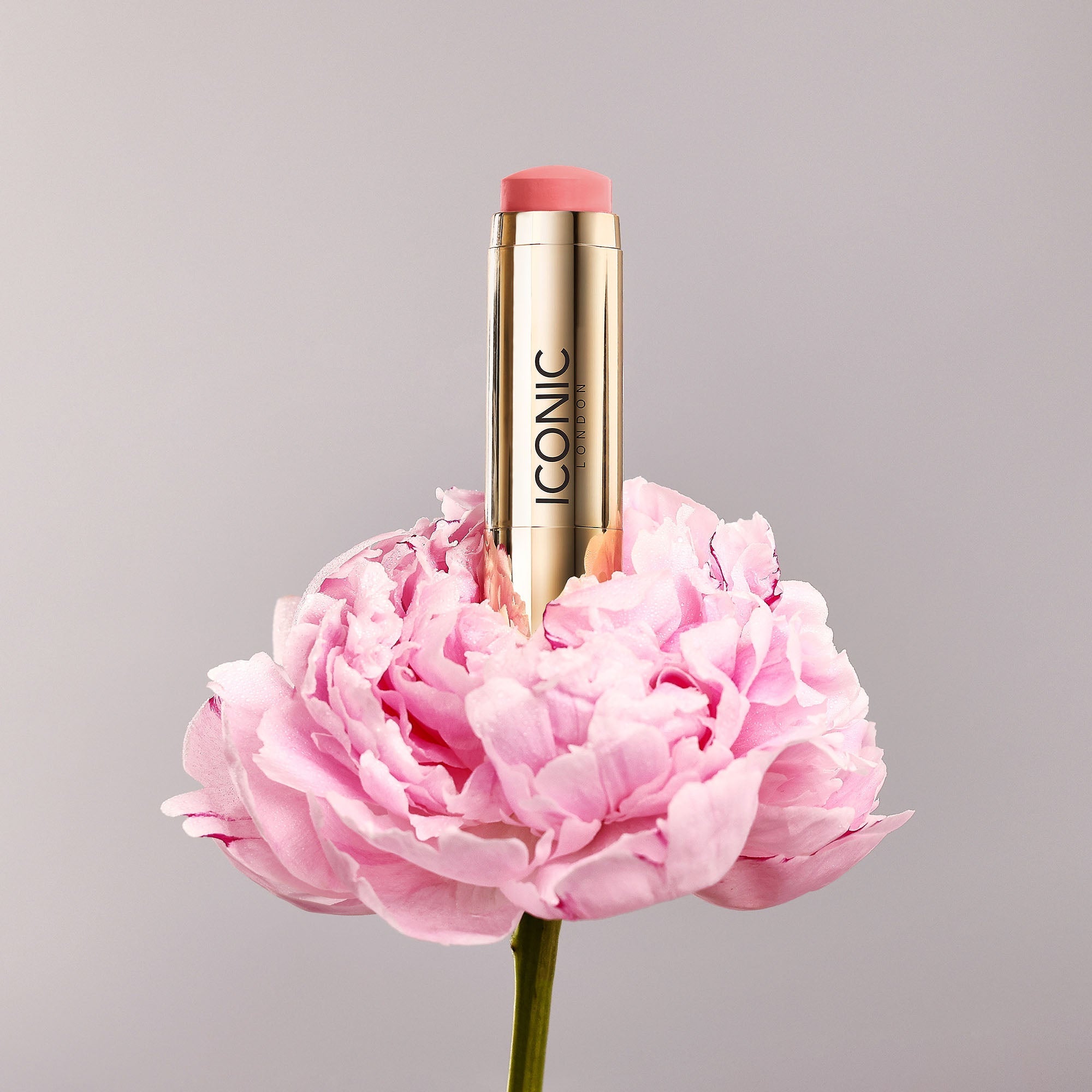 Blurring Blush Sticks