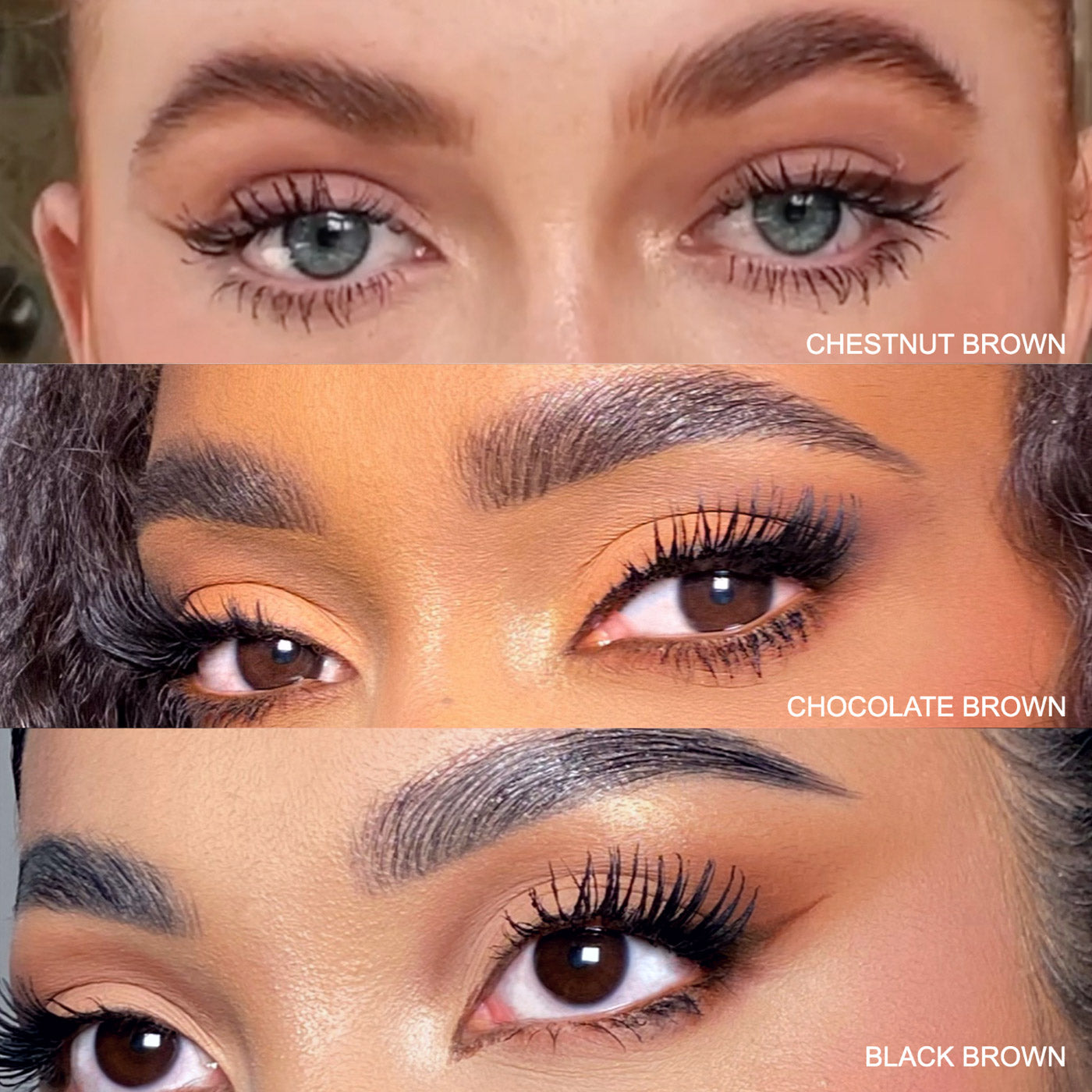 colour_Black Brown,colour_Chestnut Brown,colour_Chocolate Brown